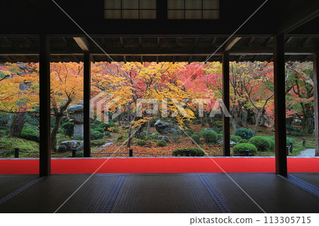 Pagoda waiting for the sunrise 113305715