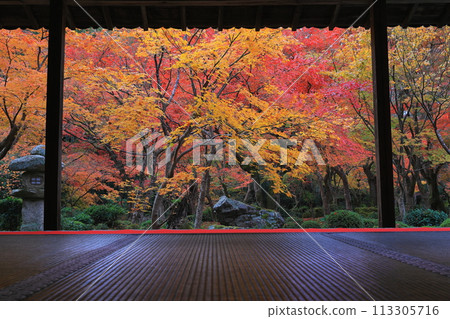 Pagoda waiting for the sunrise 113305716