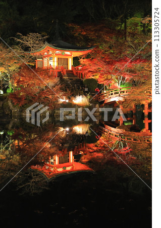 Pagoda waiting for the sunrise 113305724