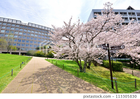 Fukuoka Institute of Technology, Fukuoka Institute of Technology, 3-30-1, Wajirohigashi, Higashi-ku, Fukuoka Fukuoka Institute of Technology, Fukuoka Institute of Technology, 3-30-1, Wajirohigashi, Higashi-ku, Fukuoka 113305830