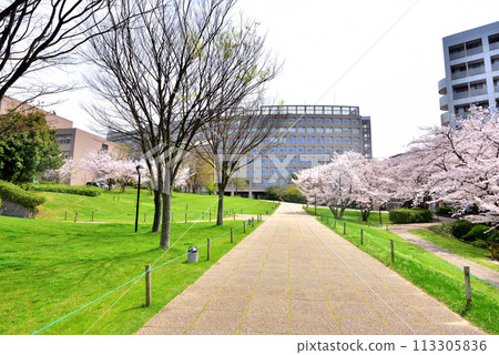 Fukuoka Institute of Technology, Fukuoka Institute of Technology, 3-30-1, Wajirohigashi, Higashi-ku, Fukuoka Fukuoka Institute of Technology, Fukuoka Institute of Technology, 3-30-1, Wajirohigashi, Higashi-ku, Fukuoka 113305836