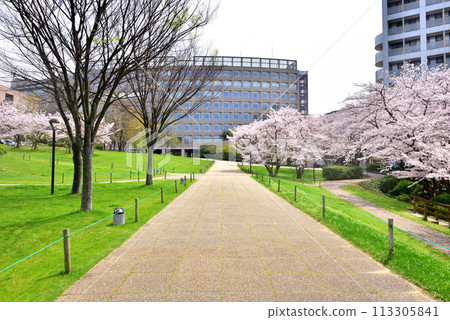 Fukuoka Institute of Technology, 福岡工業大學, 3-30-1, Wajirohigashi, Higashi-ku, Fukuoka 113305841