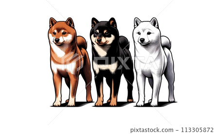 端莊柴犬套裝 113305872