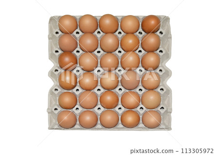 Chicken eggs in a paper panel on a white background. Chicken eggs in a paper panel on a white background. 113305972