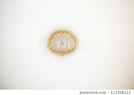 Leaking roof, roof and ceiling damaged by water. and stains on the ceiling 113306121