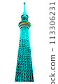 Sky tree  113306231