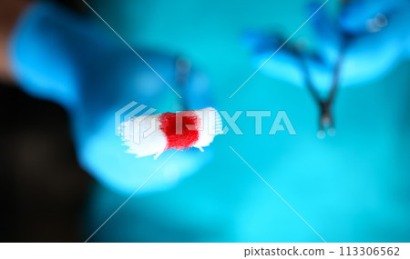 Surgeon in sterile uniform arms holding tools with bio material 113306562