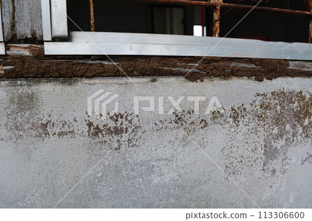 Window wood damaged by termites that have eaten for a long time Window wood damaged by termites that have eaten for a long time 113306600