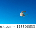Close-up view of the bird poop dropping on the blue car. 113306633