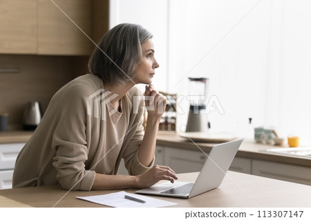 Serious woman work on laptop thinking on online business project 113307147