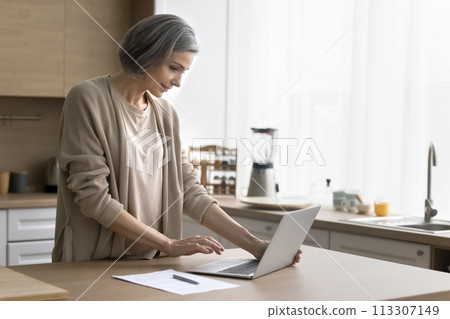 Middle-aged woman working remotely on computer at home Middle-aged woman working remotely on computer at home 113307149
