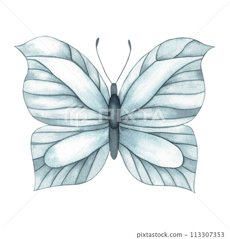A set on the theme of butterflies and insects painted in watercolor on a white background. The color scheme is monochrome in a shade of indigo. A set on the theme of butterflies and insects painted in watercolor on a white background. The color scheme is monochrome in a shade of indigo. 113307353