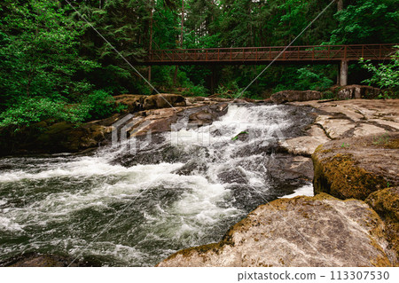 River Creek and Wooden Bridge in the Forest 113307530