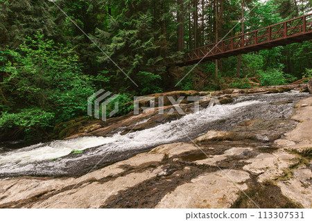 River Stream and Wooden Bridge in the Forest 113307531