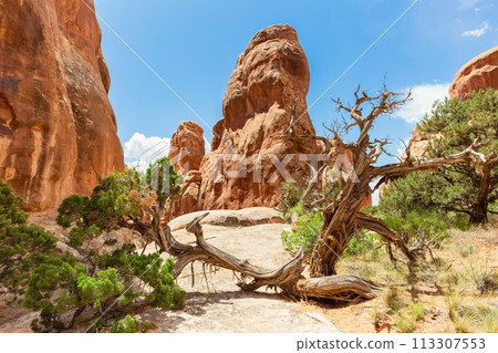 Sandstone Formations in Fiery Furnace, Utah USA Sandstone Formations in Fiery Furnace, Utah USA 113307553