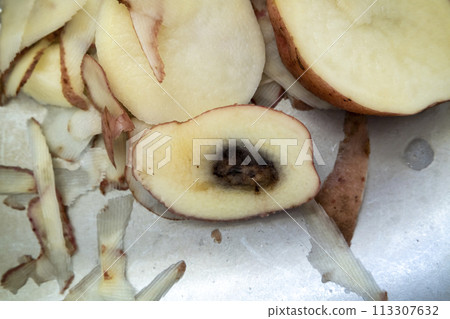 Rotten apples sliced lying in the sink Rotten apples sliced lying in the sink 113307632