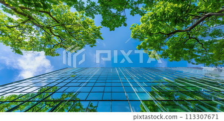 Looking up at a skyscraper with a vibrant green facade against the sky Looking up at a skyscraper with a vibrant green facade against the sky 113307671