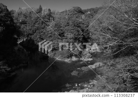 Railway photo, Railway scenery, Iida Line, Monochrome 113308237