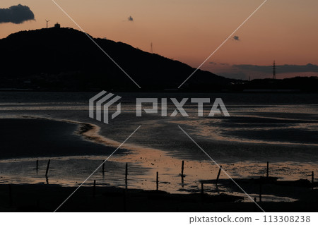 Sunset tideland scenery 113308238