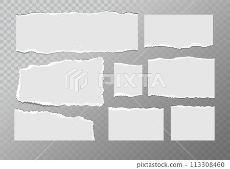 Realistic ripped white paper sheets isolated on transparent background. Torn blank pages with uneven texture. Vector 113308460