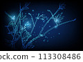 Banner with blue growing flowers. Low poly style design. minimalist flowers for decoration, digital business concept, futuristic digital innovation background vector illustration. 113308486