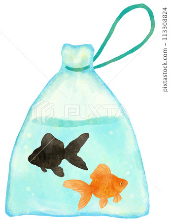 金魚舀起黑出眼鏡和琉金 金魚舀起黑出眼鏡和琉金 113308824