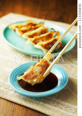 Gyoza Gyoza 113308856