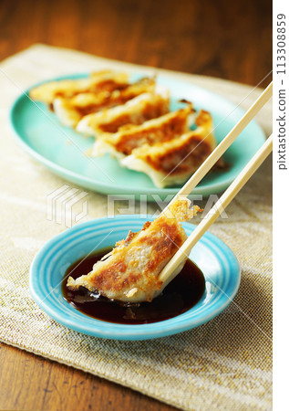 Gyoza Gyoza 113308859