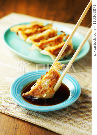 Gyoza Gyoza 113308871