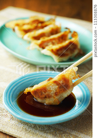 Gyoza  113308876