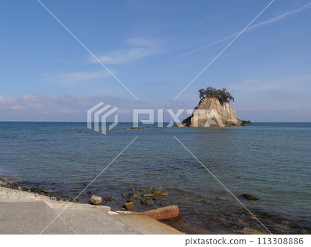 令和6能登半島地震 令和6能登半島地震 113308886