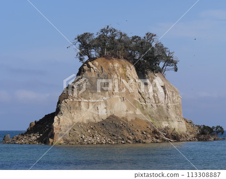 令和6能登半島地震 令和6能登半島地震 113308887