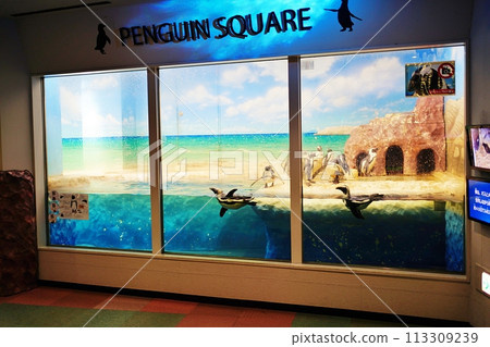 Scenery of Penguin Square at Shin-Sapporo Sunpiazza Aquarium Scenery of Penguin Square at Shin-Sapporo Sunpiazza Aquarium 113309239