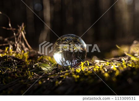 Crystal glass transparent ball, sphere on moss, green grass, sunlight. Ecology and nature concept Crystal glass transparent ball, sphere on moss, green grass, sunlight. Ecology and nature concept 113309531