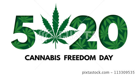 520 Cannabis Freedom Day at May 20. Banner, header, flyer, card or poster. Vector illustration isolated on white 520 Cannabis Freedom Day at May 20. Banner, header, flyer, card or poster. Vector illustration isolated on white 113309535