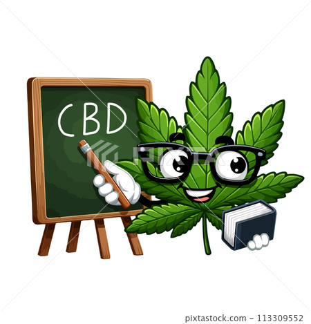 Smart marijuana leaf character teaching with CBD written on a chalkboard. Educational concept for use medicinal hemp for health and cannabidiol benefits. isolated on white background 113309552