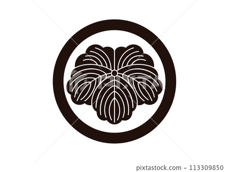 Circle with ivy 113309850