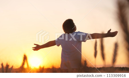 Relaxed male teenager standing at wheat field enjoy freedom silence at sunset sunrise sun sky closeup. Cheerful teen boy relaxing with open hands contemplate dawn sunlight recovery wellbeing outdoor Relaxed male teenager standing at wheat field enjoy freedom silence at sunset sunrise sun sky closeup. Cheerful teen boy relaxing with open hands contemplate dawn sunlight recovery wellbeing outdoor 113309916