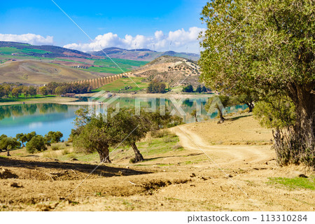 Spanish nature landscape in Andalucia. 113310284