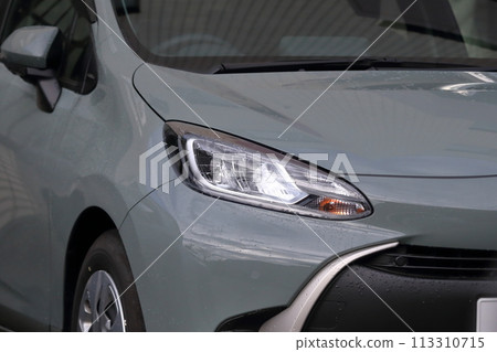 Car headlight 113310715