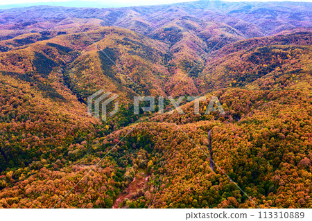 hills and valley covered with autumn colors hills and valley covered with autumn colors 113310889
