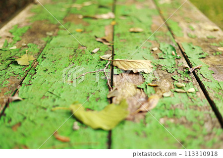 Autumn bright backdrop with arch of trees and old wooden table of boards with cracked green paint and yellow fallen leaves on it. Shabby grunge wood panels. Fall season concept in park. 113310918