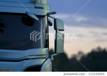 卡車側鏡 卡車側鏡 113310950