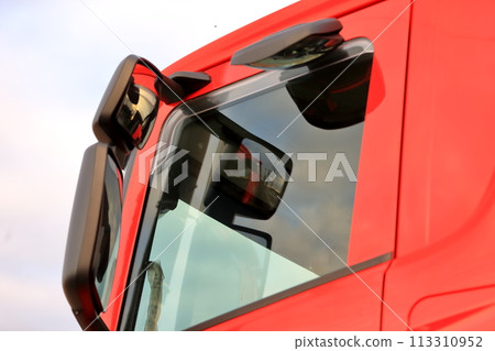 Truck side mirror Truck side mirror 113310952