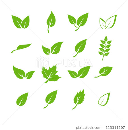 Green leaf icons set. Elements design for natural, eco, vegan. Leaves icon on isolated background. Collection green leaf. Vector Green leaf icons set. Elements design for natural, eco, vegan. Leaves icon on isolated background. Collection green leaf. Vector 113311207