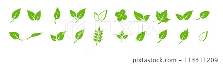 Green leaf icons set. Elements design for natural, eco, vegan. Leaves icon on isolated background. Collection green leaf. Vector Green leaf icons set. Elements design for natural, eco, vegan. Leaves icon on isolated background. Collection green leaf. Vector 113311209