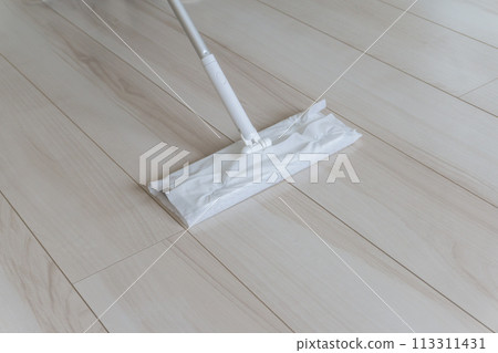 拖把清潔工具地板擦拭器 拖把清潔工具地板擦拭器 113311431