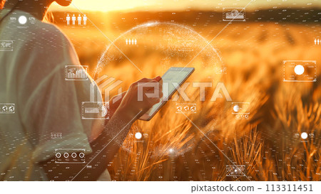 數位農業概念。利用人工智慧技術的現代化農業形象。 113311451