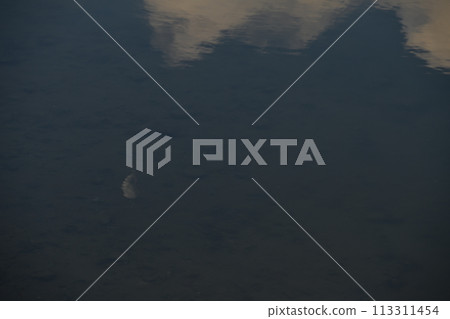 A waning crescent moon at age 23.2 reflected on the surface of an agricultural irrigation pond 113311454