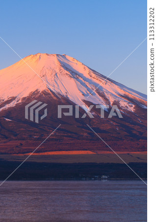 Mount Fuji in the harsh winter seen from Lake Yamanaka (Red Fuji) 113312202